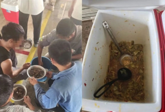 上百中国工人吃馊水...巴西政府指控中国巨头