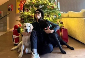 刘嘉玲带宠物狗迎接圣诞，千万名画挂在屋内