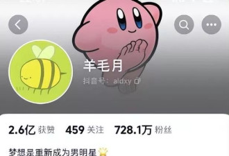 吐槽00后找不到工作 百万粉丝网红“羊毛月”被禁止关注