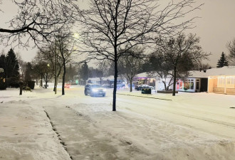 多伦多，第二场雪落，寂静、温暖