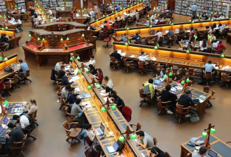 交完天价学费 还得掏钱补课？留学生吞金的一生