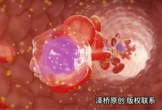 每天洗头和7天洗一次，哪个伤害更大？