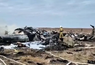 38人遇难29人生还，阿航客机坠毁或因撞上飞鸟？