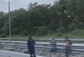 罕见车祸,巨鳄爬上公路遭撞毙照疯传,网民惊愕