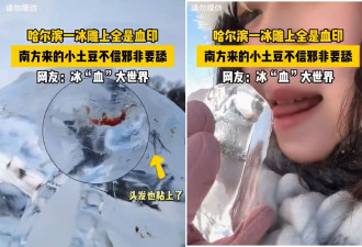 哈尔滨冰雕都是血迹 竟然都是妹子们舔的…