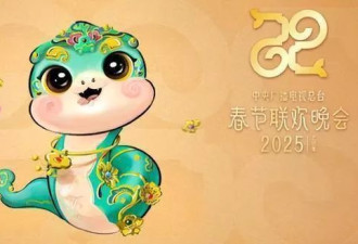 2025央视春晚彩排路透曝光！网友：“春晚混子”又来了
