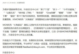 风情万种打“擦边球”的吴柳芳，终究被秋后算账了