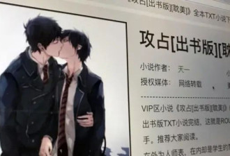 网文作家遭抓捕:定罪依据、高额罚款及跨省执法