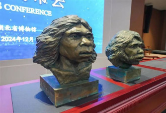 百万年前古人类化石相貌复原完成 原来我们长这样