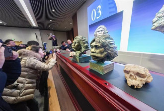 百万年前古人类化石相貌复原完成 原来我们长这样
