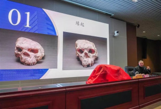 百万年前古人类化石相貌复原完成 原来我们长这样
