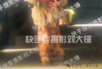 “8天会3女”的男明星竟是他？去年才曝有女友