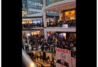 Eaton Centre又乱套！加拿大商场100人大混战，人群尖叫逃散