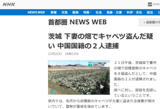 日本警察不断拘捕“偷菜”的中国人