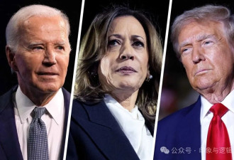 恭喜美国人民 - 2024年末寄语