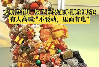 山西太原商场圣诞树装饰遭民众哄抢 树毁被撤