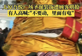 山西太原商场圣诞树装饰遭民众哄抢 树毁被撤