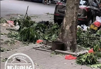 几个月不发工资，南宁环卫工人停工导致垃圾遍地？
