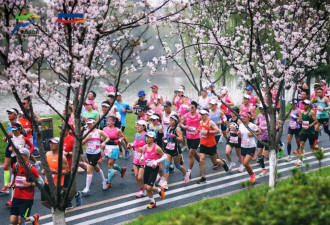 一个名额炒到2799元，马拉松为何“越跑越贵”？