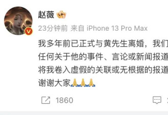 赵薇宣布多年前已离婚！前夫黄有龙再传债务风波