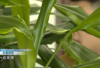 男子曾被判刑10次，因偷窃手机牵出24年前的命案