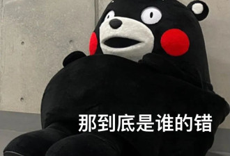 被梦校拒绝后，我反手给它一巴掌走上人生巅峰