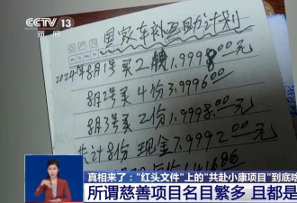"红头文件"上的"慈善项目"能投资返利?这是诈骗