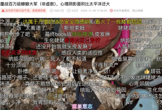 90后白领转行当保洁 拍出五百万人围观的“蟑螂大作战”