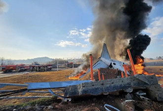 韩国客机撞墙起火事故中乘客国籍公布...