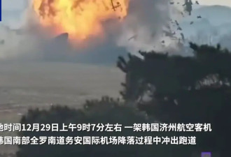专家解析"韩国客机起火"视频:是否鸟撞还未有定论