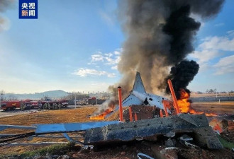 飞机撞击鸟类起落架无法工作非常危险，专家分析
