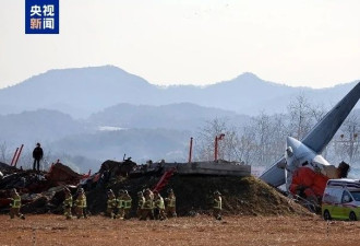 飞机撞击鸟类起落架无法工作非常危险，专家分析