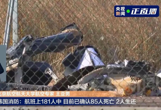 飞机撞击鸟类起落架无法工作非常危险，专家分析