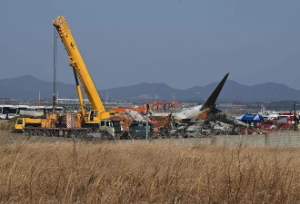 韩客机碰撞起火事故已致167人死亡，仍有12人失踪