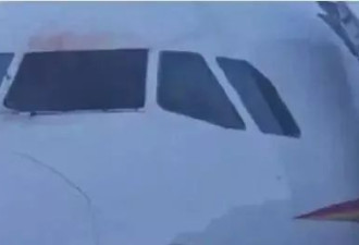 济州航空坠机,全球每年发生飞鸟撞机事件两万多起