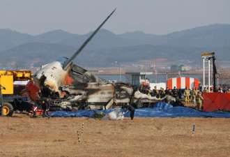 痛心！179人，全部遇难
