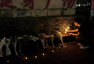 珠海撞人案宣判登热搜：掩盖樊维秋真正杀人动机？