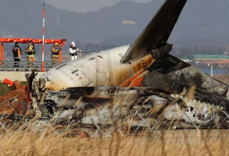 179死空难：鸟撞击？专家质疑涉机件故障或人为犯错