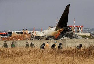 179死空难：鸟撞击？专家质疑涉机件故障或人为犯错