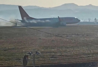 179死空难：鸟撞击？专家质疑涉机件故障或人为犯错
