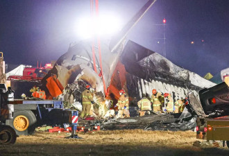 韩知情人士：高空撞鸟 有毒气进机体 没来得及丢掉燃料