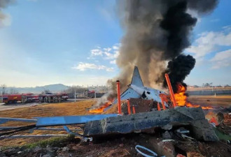 1只麻雀≈1颗炮弹 “飞鸟撞机”为何列入A级航空灾难？