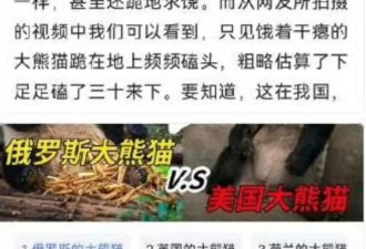 啥？去年痛批美国虐熊猫的正能量，刚被抓了？