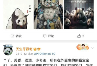 啥？去年痛批美国虐熊猫的正能量，刚被抓了？