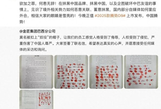比亚迪巴西：摁手印的中国工人，待遇不如本地工