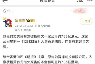 赵薇承认早已离婚！前夫被追债13亿，网友：这么快撇清关系？