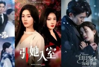 年终策划｜短剧头部演员日薪过万，抢档期、涨片酬，下一个“丞磊”何时出现？