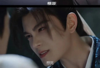 把霸总演对味的“晋江式演技”，谁先修炼谁飞升