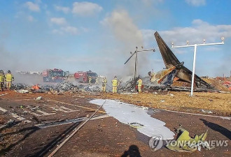 韩国客机事故遇难者DNA已全部采集，家属痛哭