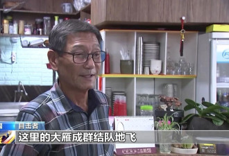 韩国客机失事目击者：客机或遭大雁撞击